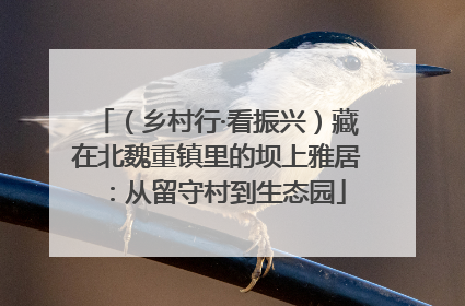 （乡村行·看振兴）藏在北魏重镇里的坝上雅居：从留守村到生态园
