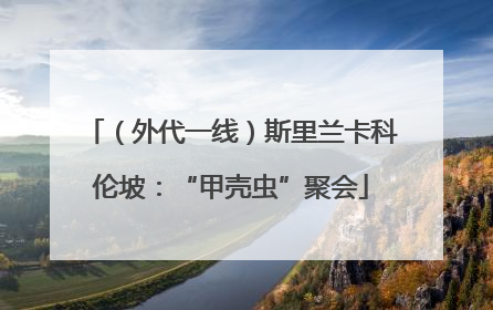 （外代一线）斯里兰卡科伦坡：“甲壳虫”聚会