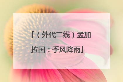 （外代二线）孟加拉国：季风降雨