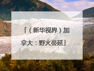 （新华视界）加拿大：野火蔓延