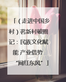 （走进中国乡村）茗新村破圈记：民族文化赋能 产业借势 “网红东风”