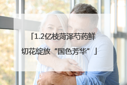 1.2亿枝菏泽芍药鲜切花绽放“国色芳华”