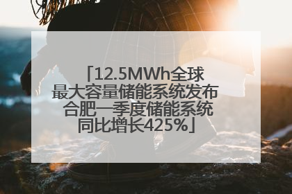 12.5MWh全球最大容量储能系统发布 合肥一季度储能系统同比增长425%
