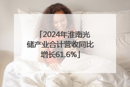2024年淮南光储产业合计营收同比增长61.6%