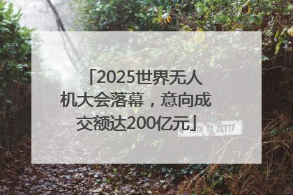 2025世界无人机大会落幕，意向成交额达200亿元