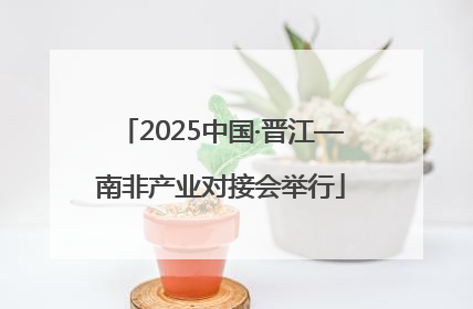 2025中国·晋江—南非产业对接会举行