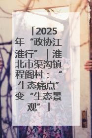 2025年“政协江淮行”｜淮北市渠沟镇程阁村：“生态痛点”变“生态景观”