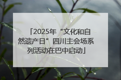 2025年“文化和自然遗产日”四川主会场系列活动在巴中启动