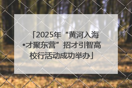 2025年“黄河入海•才聚东营”招才引智高校行活动成功举办