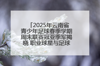 2025年云南省青少年足球春季学期周末联赛冠亚季军揭晓 职业球星与足球小将共享荣耀时刻