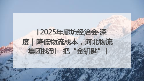 2025年廊坊经洽会·深度｜降低物流成本，河北物流集团找到一把“金钥匙”