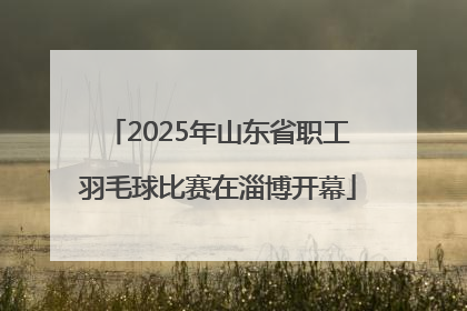 2025年山东省职工羽毛球比赛在淄博开幕