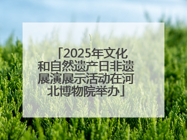 2025年文化和自然遗产日非遗展演展示活动在河北博物院举办