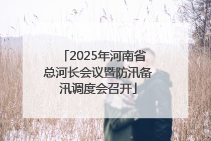 2025年河南省总河长会议暨防汛备汛调度会召开