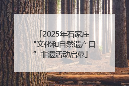 2025年石家庄“文化和自然遗产日”非遗活动启幕