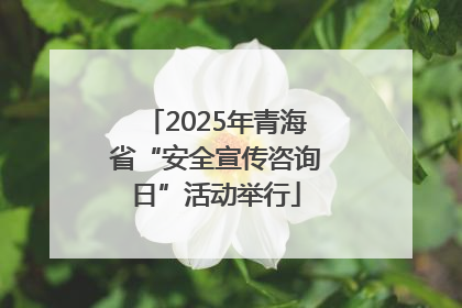 2025年青海省“安全宣传咨询日”活动举行