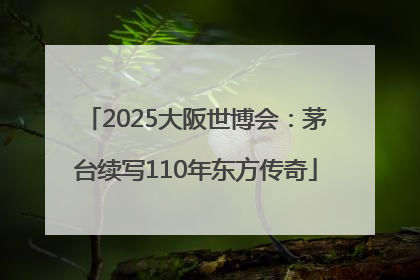 2025大阪世博会：茅台续写110年东方传奇