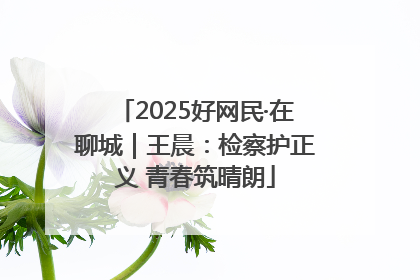2025好网民·在聊城｜王晨：检察护正义 青春筑晴朗