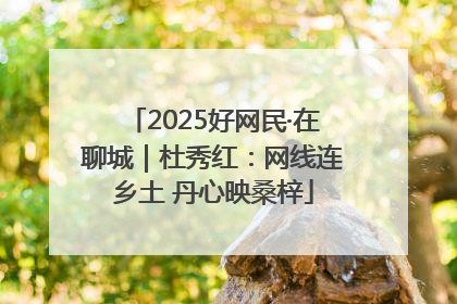 2025好网民·在聊城｜杜秀红：网线连乡土 丹心映桑梓