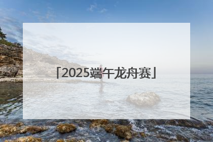 2025端午龙舟赛