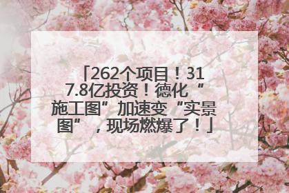 262个项目！317.8亿投资！德化“施工图”加速变“实景图”，现场燃爆了！