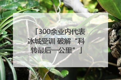 300余业内代表冰城受训 破解“科转最后一公里”