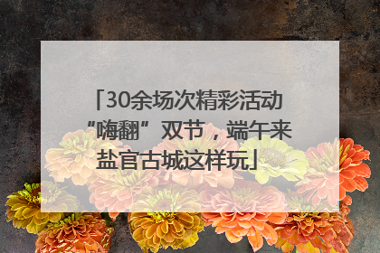 30余场次精彩活动“嗨翻”双节，端午来盐官古城这样玩