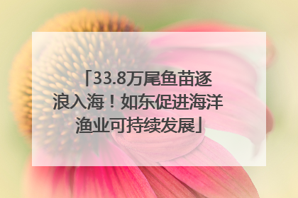 33.8万尾鱼苗逐浪入海！如东促进海洋渔业可持续发展