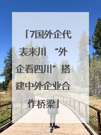 7国外企代表来川 “外企看四川”搭建中外企业合作桥梁