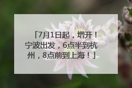 7月1日起，增开！宁波出发，6点半到杭州，8点前到上海！