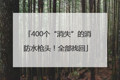 400个“消失”的消防水枪头！全部找回
