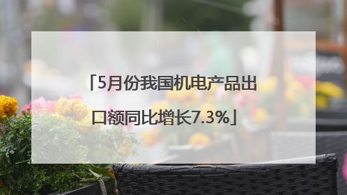 5月份我国机电产品出口额同比增长7.3%