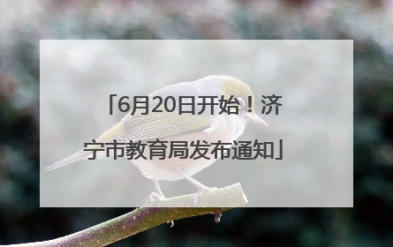 6月20日开始！济宁市教育局发布通知