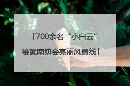 700余名“小白云”绘就南博会亮丽风景线