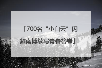 700名“小白云”闪耀南博续写青春答卷