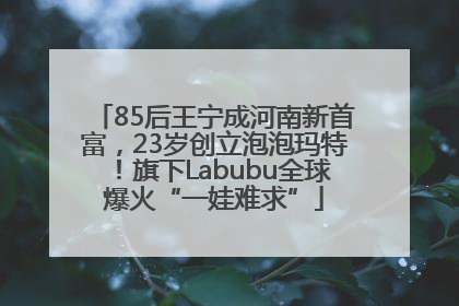 85后王宁成河南新首富，23岁创立泡泡玛特！旗下Labubu全球爆火“一娃难求”