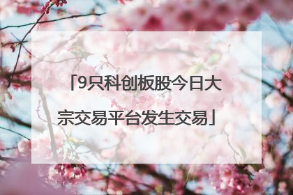9只科创板股今日大宗交易平台发生交易