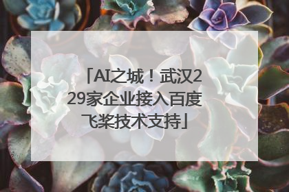 AI之城！武汉229家企业接入百度飞桨技术支持
