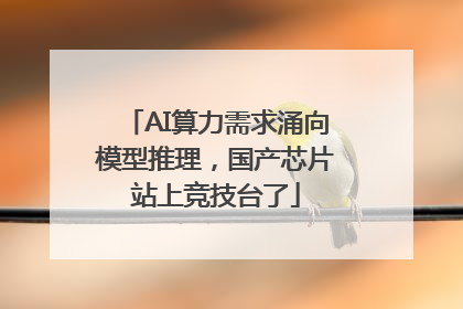 AI算力需求涌向模型推理，国产芯片站上竞技台了