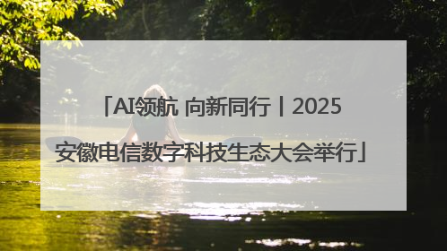 AI领航 向新同行丨2025安徽电信数字科技生态大会举行