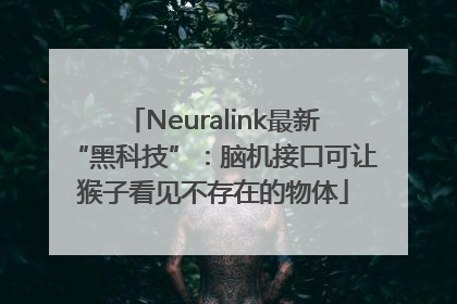 Neuralink最新“黑科技”：脑机接口可让猴子看见不存在的物体